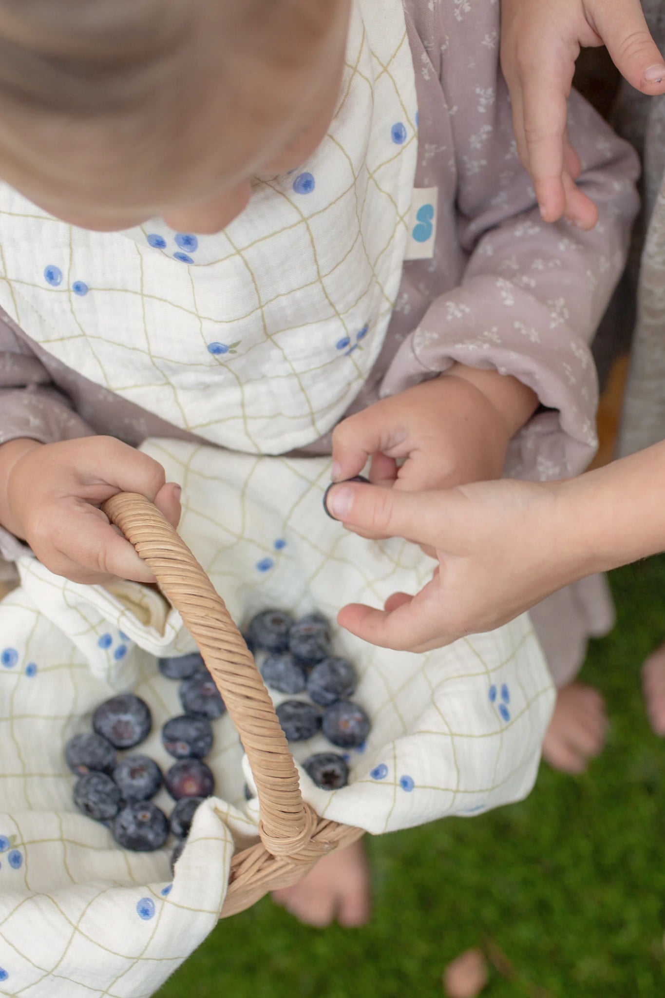 Soft Spot - 有機棉紗領巾口水巾3入組 - Blueberries