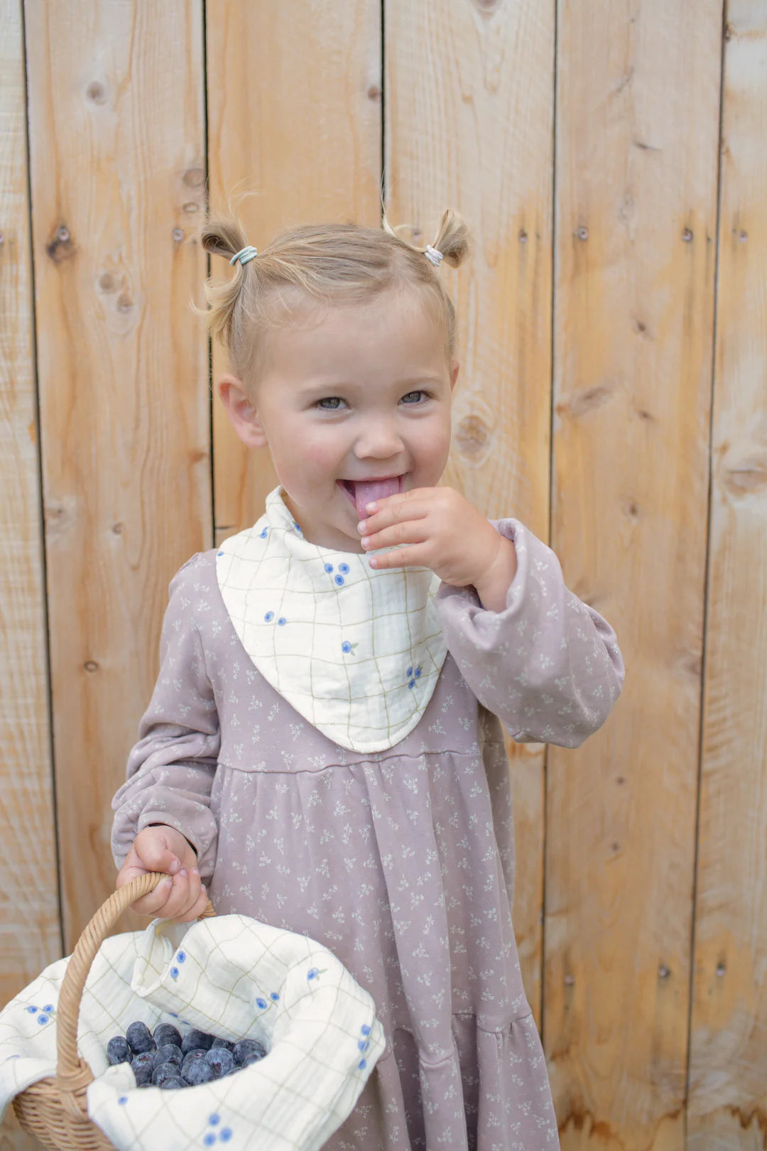 Soft Spot - 有機棉紗領巾口水巾3入組 - Blueberries