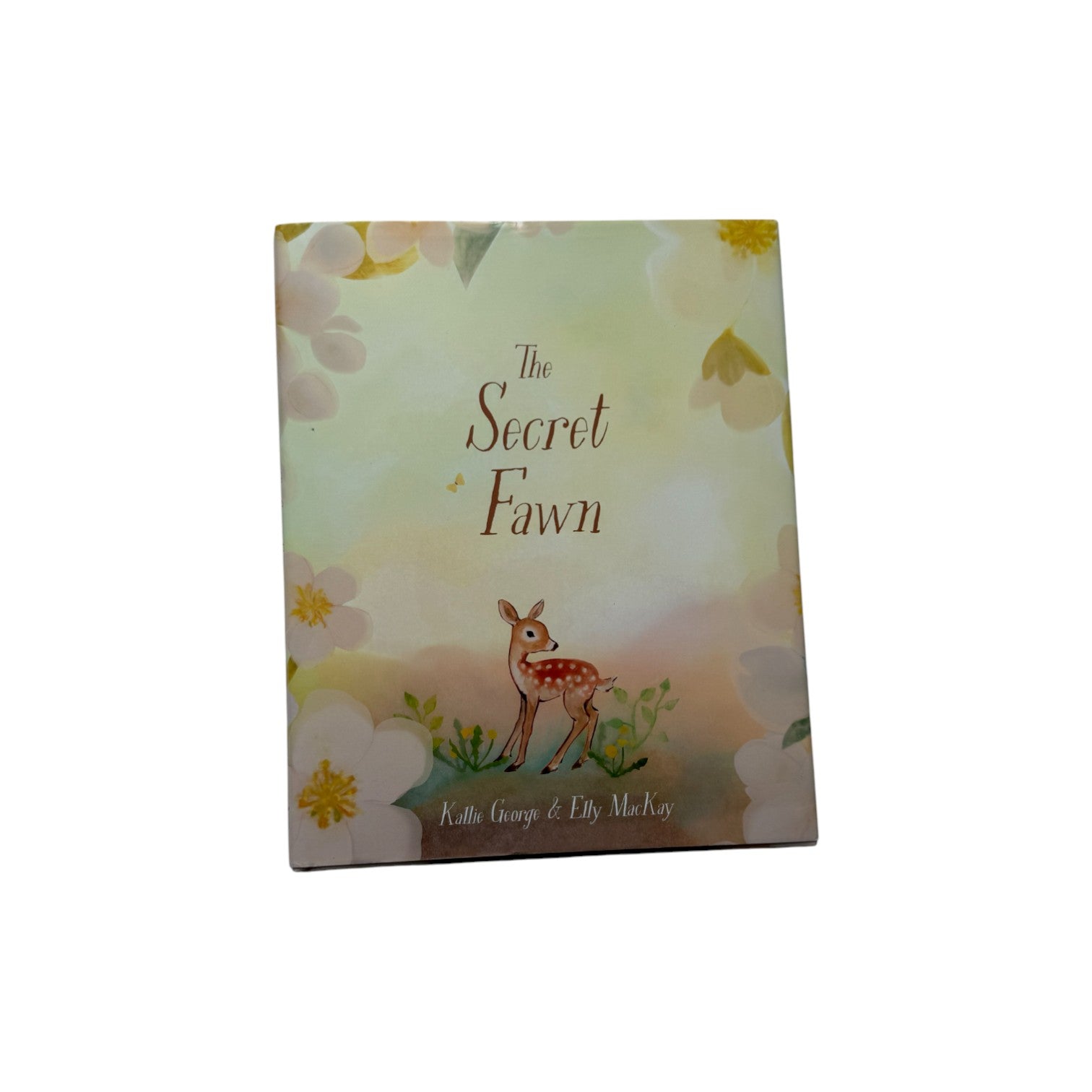 Minikin - 兒童英文故事繪本 - Secret Fawn